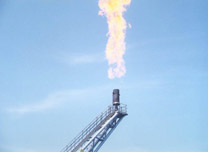 �a(ch��n)Ʒչʾ